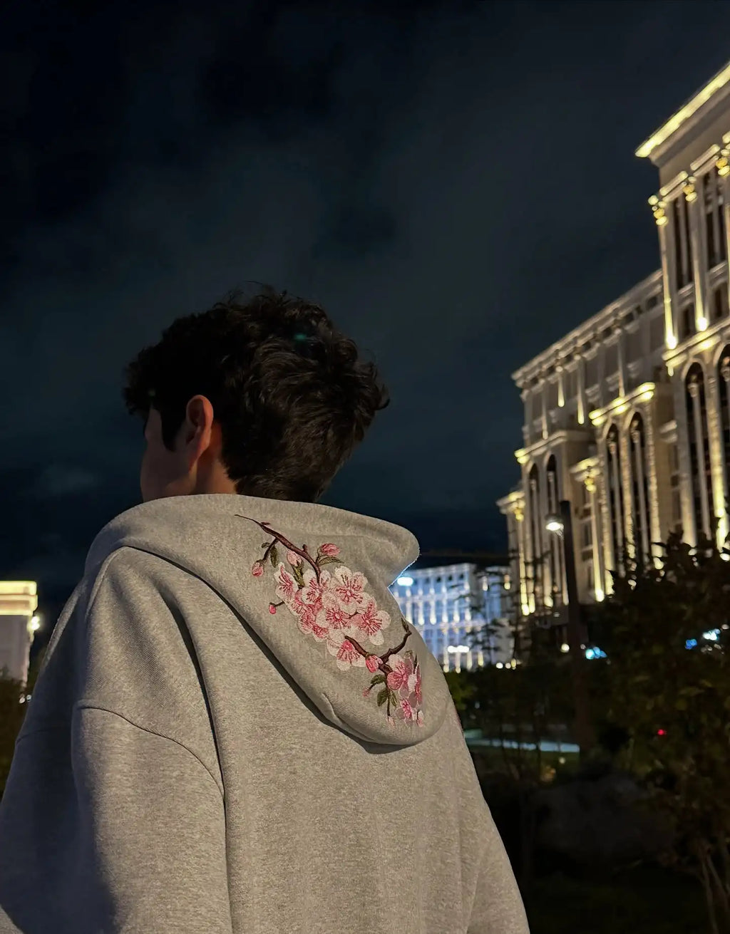 Y2K Cherry Blossom Embroidered Zip Hoodie